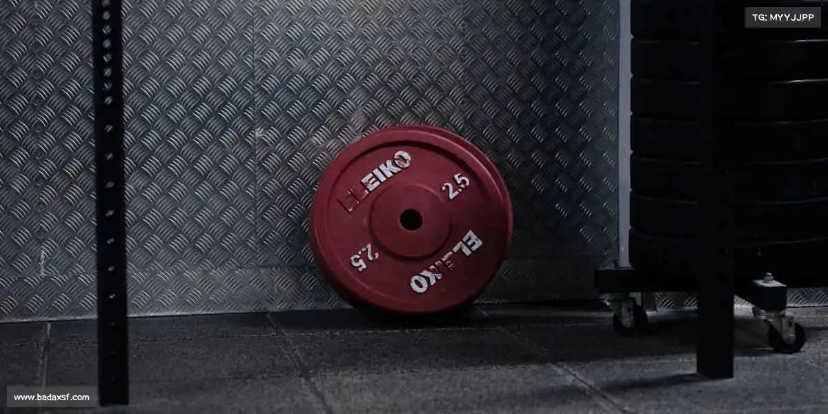 <strong>优游ub8</strong>🏆以梦为马，体育路上永不言败！